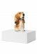 Urna para animais de estimação 'Normand Basset hound'