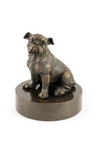 Bulldog urn verbronsd