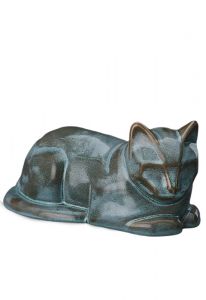 Urna funerária para gatos em diversas cores