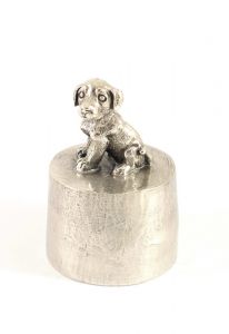 Teckel puppy zittend urn zilvertin
