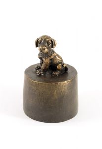 Teckel puppy zittend urn verbronsd